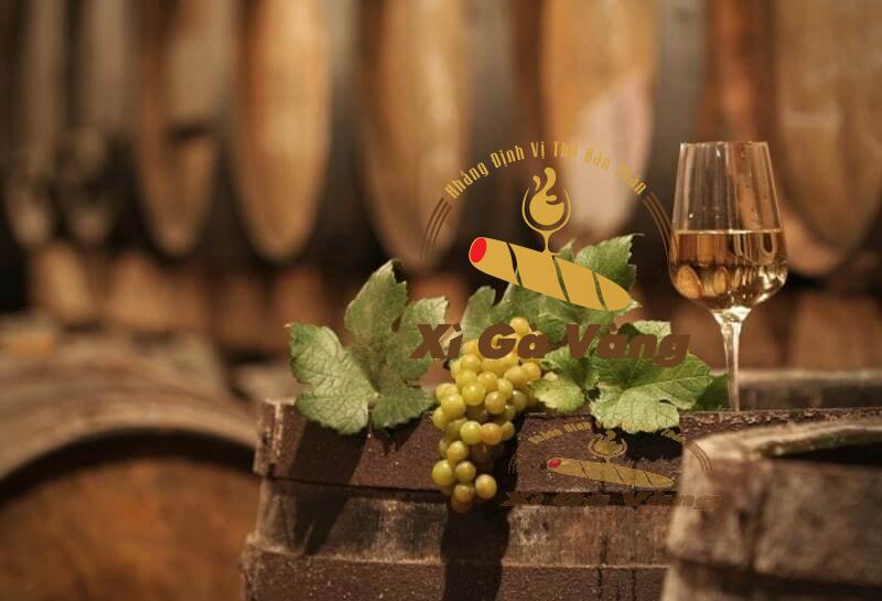 Sự đa dạng trong hương vị của rượu vang giúp vị giác của bạn được phiêu lưu, khám phá